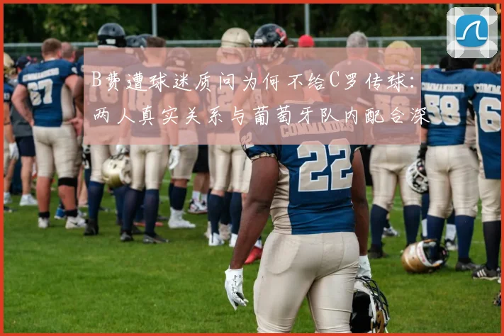B费遭球迷质问为何不给C罗传球：两人真实关系与葡萄牙队内配合深度解析，附2026年事件回顾